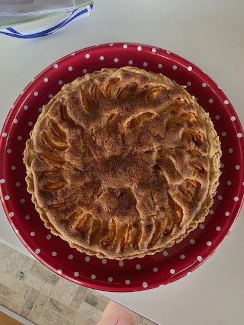 apricot frangipane tart photo